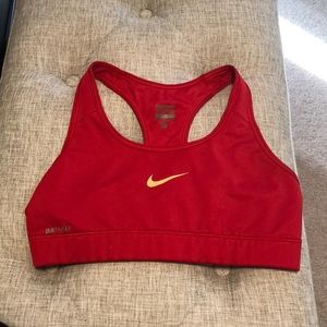 Nike Pro DriFit sports bra